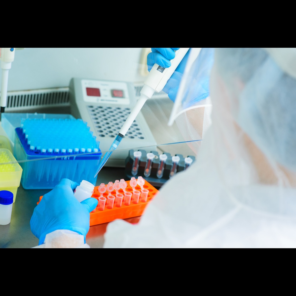 genesig Std Realsize:time PCR detection kit, Equid Herpesvirus 2 size: 150 test