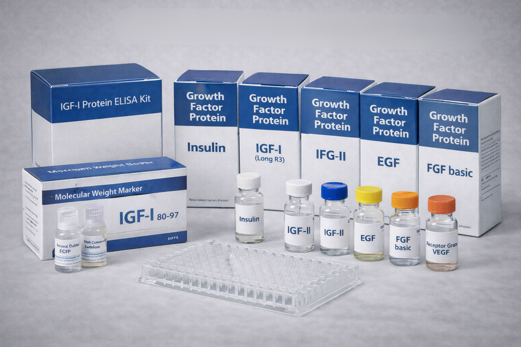 Biotinylated Human LR3 IGF-I monoclonal antibody