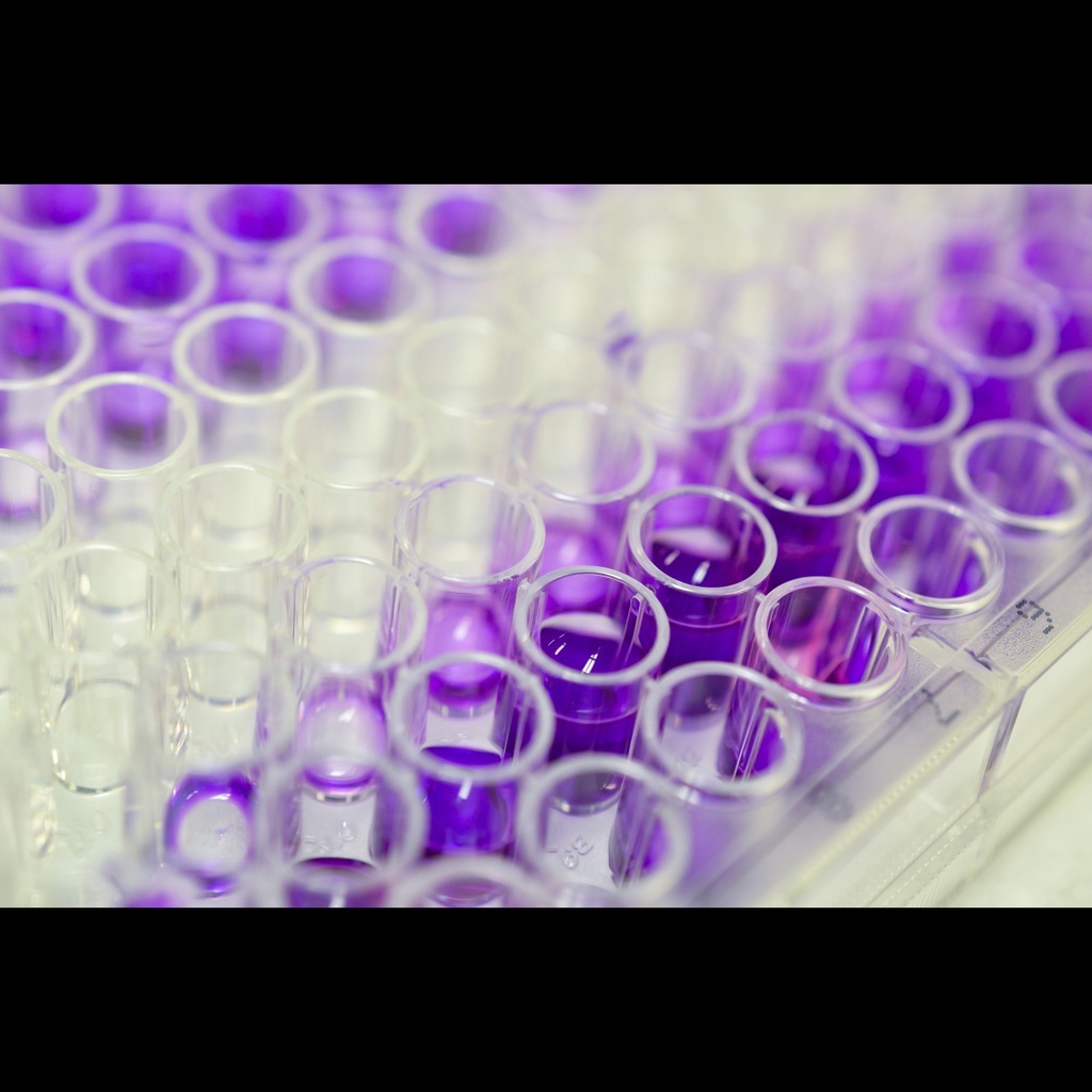 OT Oxytocin  ELISA Kit size: 96 Tests